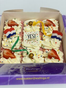 Oranjekoek viekrant gesneden 9 stukjes YES Geslaagd!